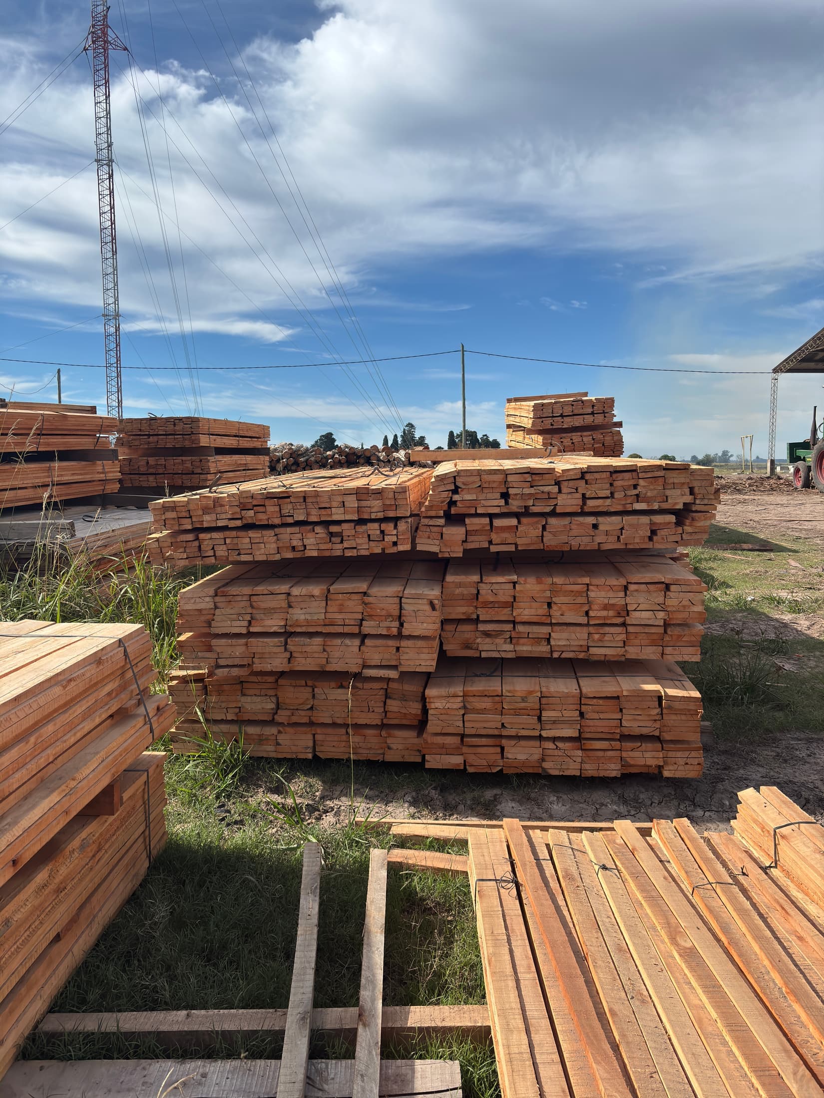 Stock tablas largas eucaliptus saligna 2