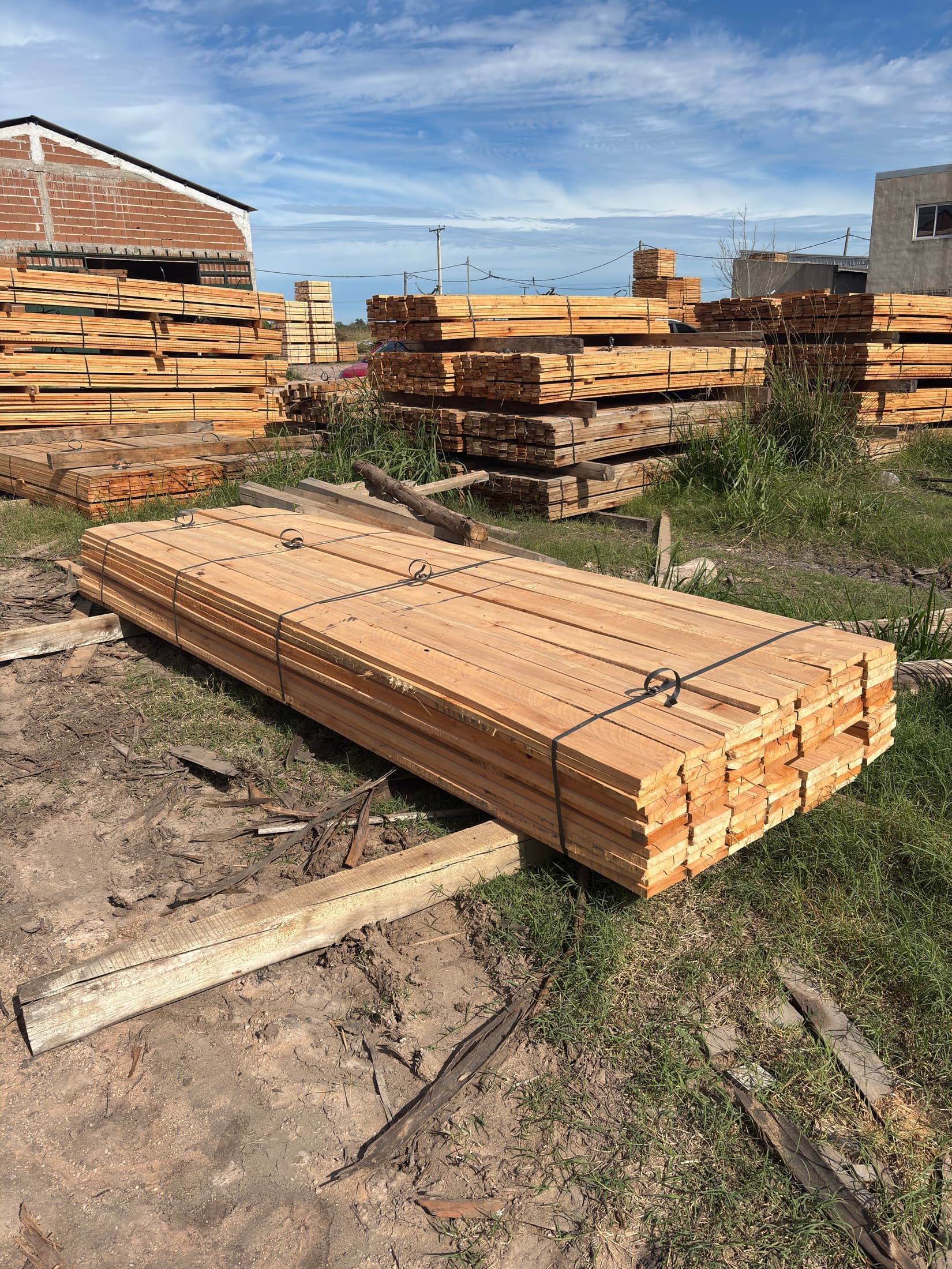 Stock tablas largas eucaliptus saligna 4