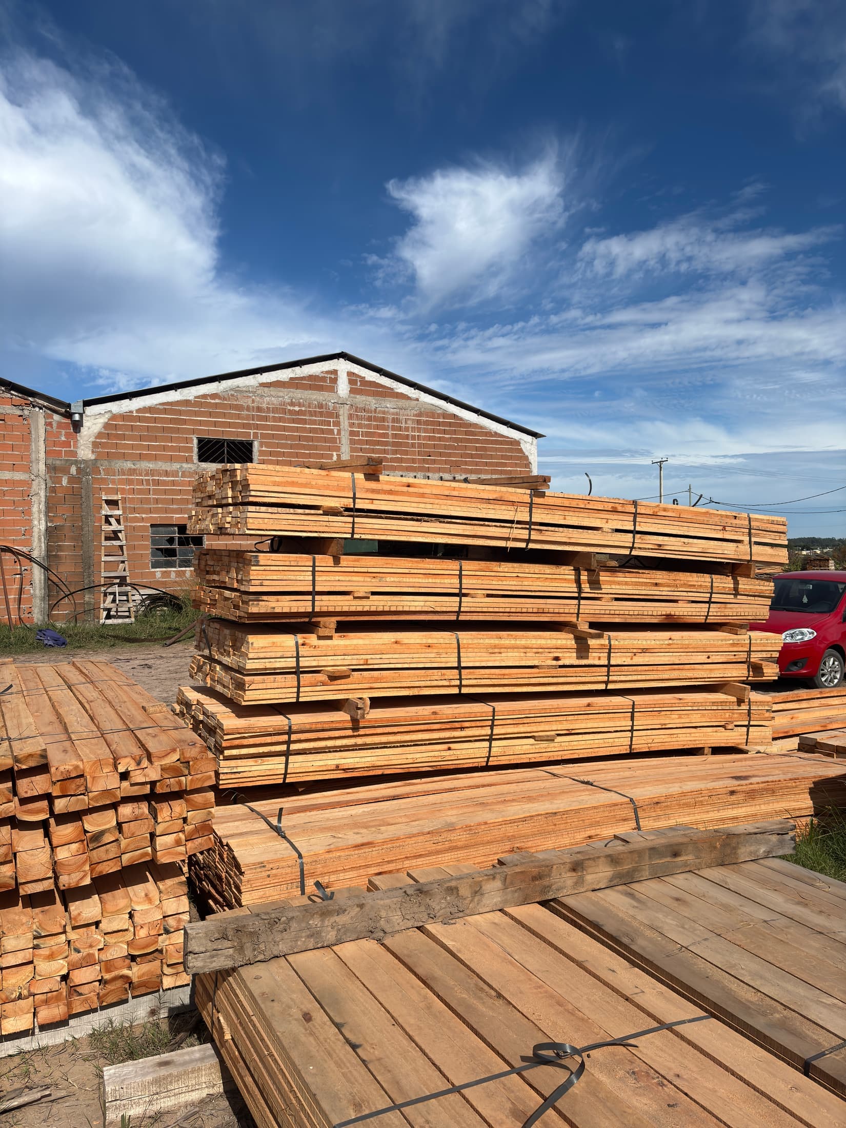Stock tablas largas eucaliptus saligna 3