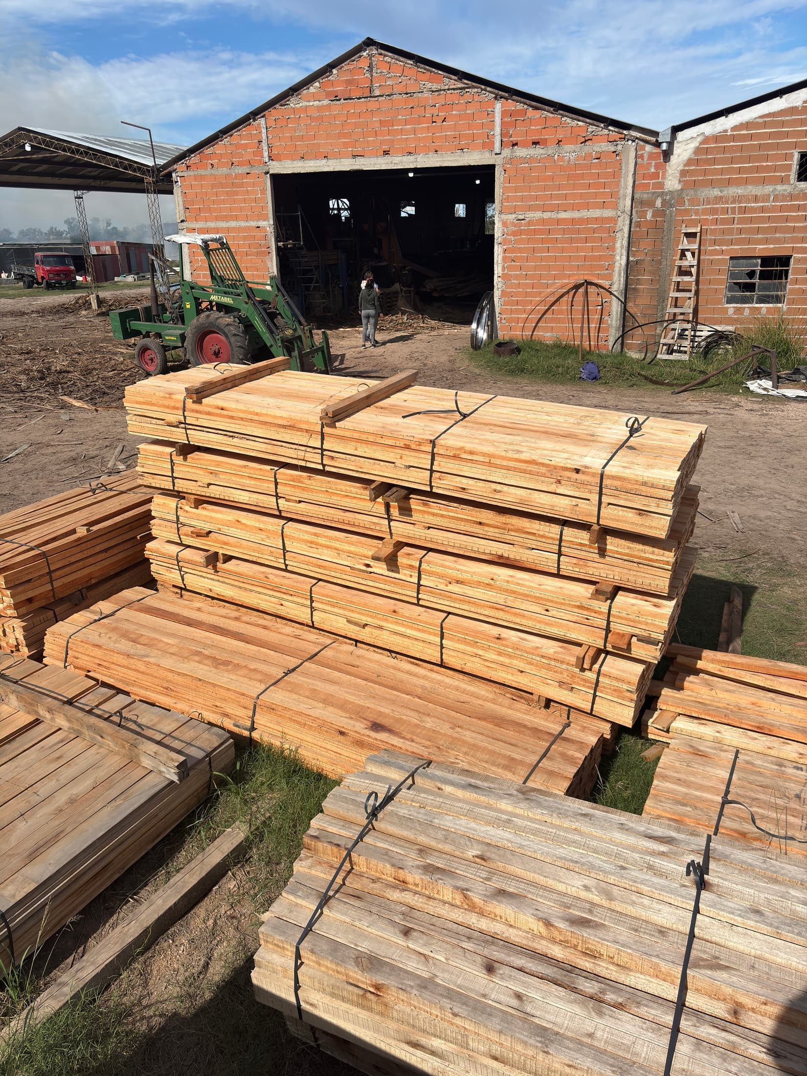 Stock tablas largas eucaliptus saligna 1